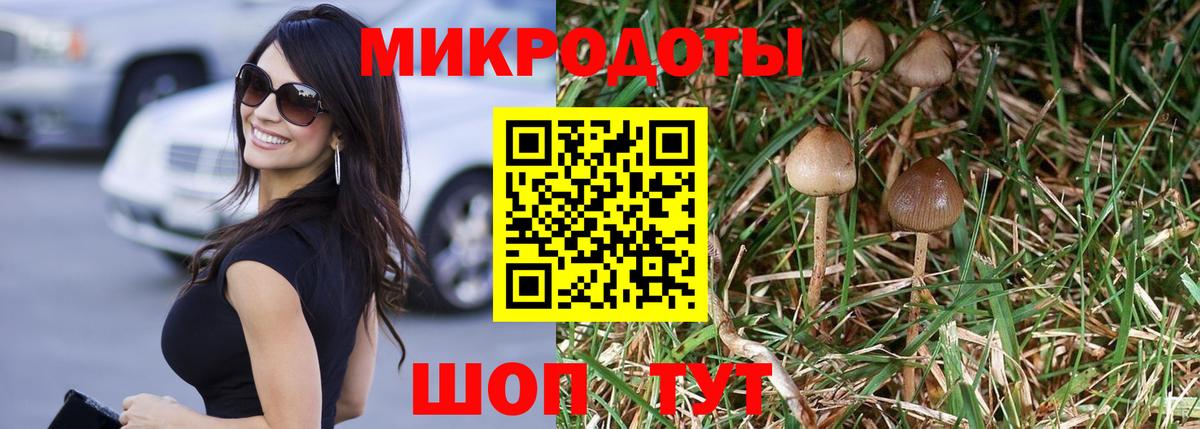 Новосибирск  Галлюциногенные грибы Psilocybe  Вход с VPN 