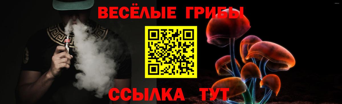 Галлюциногенные грибы Magic Shrooms Новосибирск